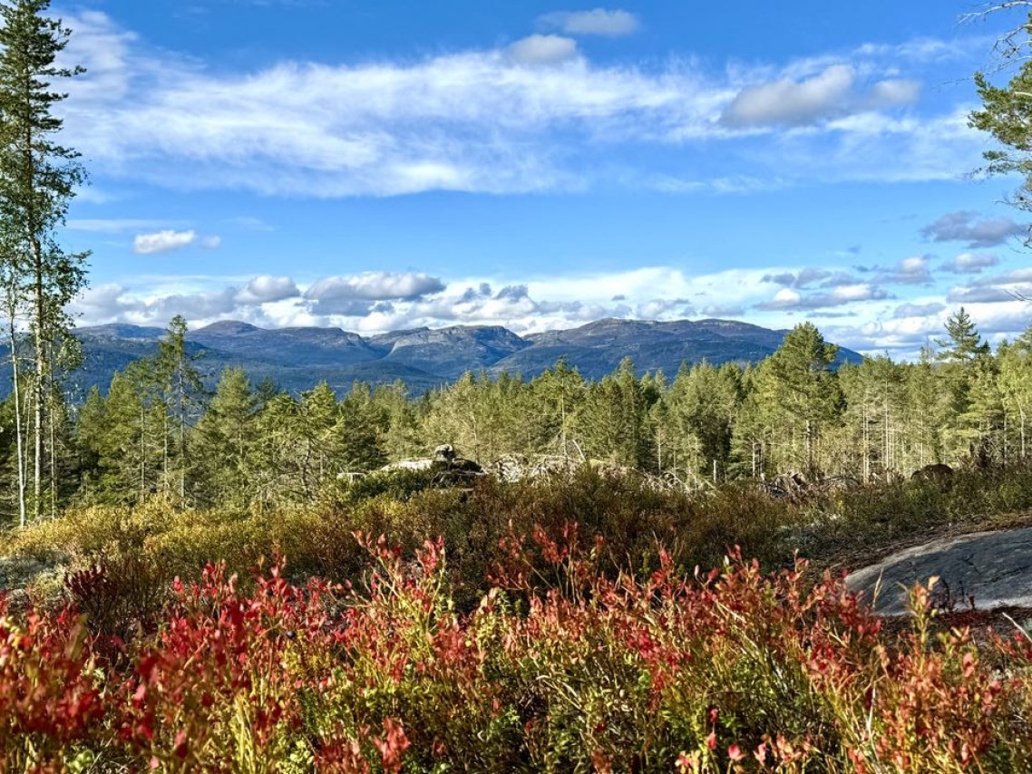 Lifjell sett fra Breisås